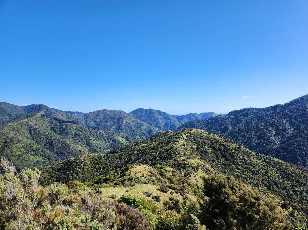 Great views over Pig Ridge